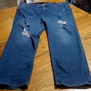 TORRID JEANS Womens Denim 24 BLUE BOMBSHELL STRAIGHT Stretch Preowned Casual